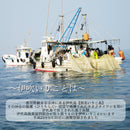 【(No.062)伊吹いりこ大羽/200g】【2026年新物】香川県伊吹島産