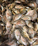 【鯛煮干　国産】　業務用　いりこの日割引対象外商品