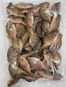 【鯛煮干　国産】　業務用　いりこの日割引対象外商品