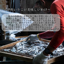 【(No.062)伊吹いりこ大羽/200g】【2026年新物】香川県伊吹島産