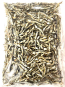 【(No.500)いりこ中羽G/1kg】業務用　瀬戸内海産　いりこの日割引対象外商品