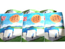 【(No.309)あったかにゅうめん/12個入】簡単本格的手延べそうめん