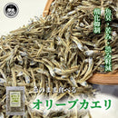 【(No.073)オリーブカエリ/50g】香川県伊吹島沖産　苦み魚臭が軽減