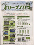 【(No.073)オリーブカエリ/50g】香川県伊吹島沖産　苦み魚臭が軽減