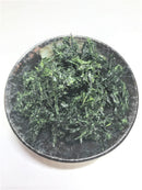 【(No.124)あおさ/20ｇ】鹿児島県産